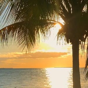 Meet your Posher, Carlee